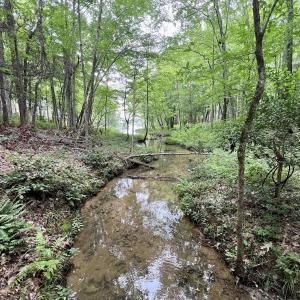 Photo #20 of Off Sail View Lane, Macon, NC 1.0 acres