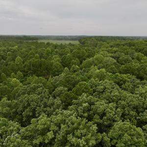 Photo #6 of Off Sail View Lane, Macon, NC 1.0 acres