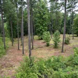 Photo #10 of Off Sail View Lane, Macon, NC 1.0 acres