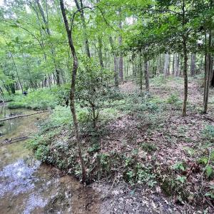 Photo #21 of Off Sail View Lane, Macon, NC 1.0 acres