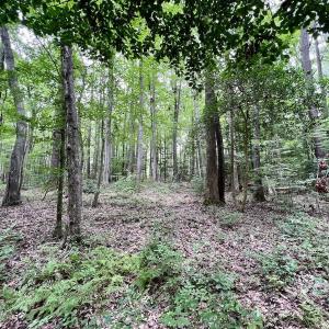 Photo #22 of Off Sail View Lane, Macon, NC 1.0 acres