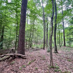 Photo #23 of Off Sail View Lane, Macon, NC 1.0 acres