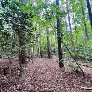 Photo #24 of Off Sail View Lane, Macon, NC 1.0 acres