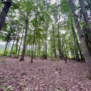 Photo #25 of Off Sail View Lane, Macon, NC 1.0 acres