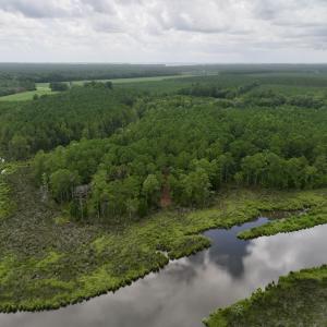 Photo #2 of 337 PAMLICO BEACH RD, Belhaven, NC 1.9 acres