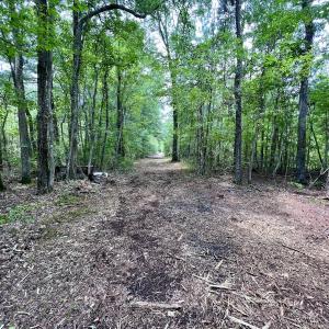 Photo #13 of 337 PAMLICO BEACH RD, Belhaven, NC 1.9 acres