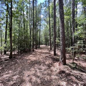 Photo #15 of 337 PAMLICO BEACH RD, Belhaven, NC 1.9 acres