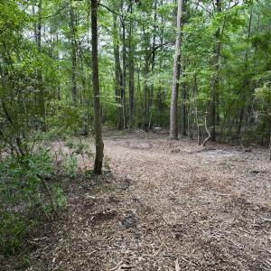 Photo #19 of 337 PAMLICO BEACH RD, Belhaven, NC 1.9 acres