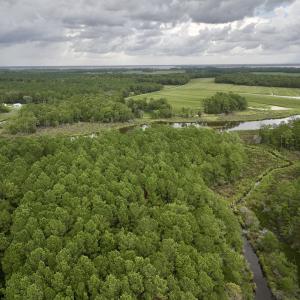 Photo #6 of 337 PAMLICO BEACH RD, Belhaven, NC 1.9 acres