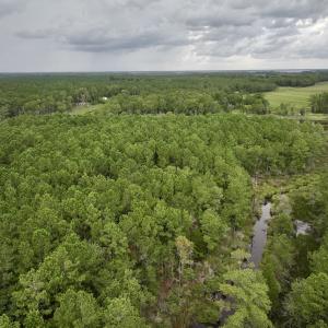 Photo #7 of 337 PAMLICO BEACH RD, Belhaven, NC 1.9 acres