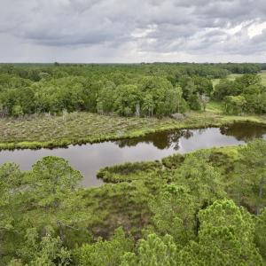 Photo #9 of 337 PAMLICO BEACH RD, Belhaven, NC 1.9 acres