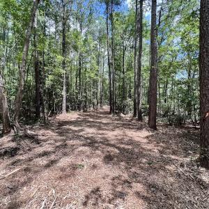 Photo #25 of 337 PAMLICO BEACH RD, Belhaven, NC 1.9 acres
