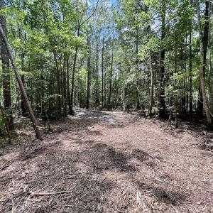 Photo #26 of 337 PAMLICO BEACH RD, Belhaven, NC 1.9 acres