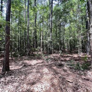 Photo #29 of 337 PAMLICO BEACH RD, Belhaven, NC 1.9 acres