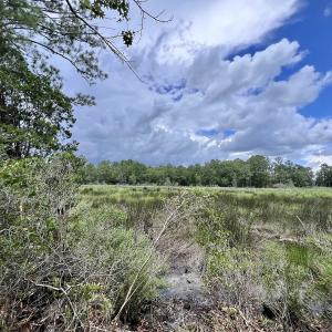Photo #39 of 337 PAMLICO BEACH RD, Belhaven, NC 1.9 acres