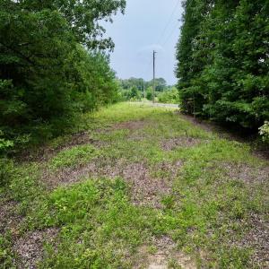 Photo #12 of SOLD property in Off 1607 SR, Warrenton, NC 5.0 acres