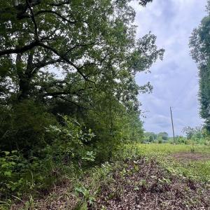 Photo #16 of SOLD property in Off 1607 SR, Warrenton, NC 5.0 acres