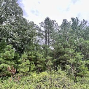 Photo #20 of SOLD property in Off 1607 SR, Warrenton, NC 5.0 acres