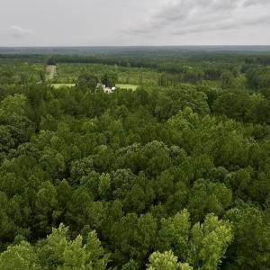 Photo #4 of SOLD property in Off 1607 SR, Warrenton, NC 5.0 acres