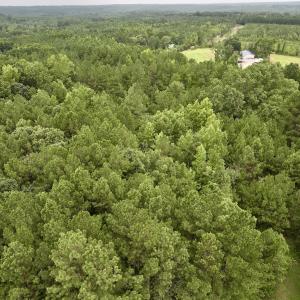 Photo #5 of SOLD property in Off 1607 SR, Warrenton, NC 5.0 acres