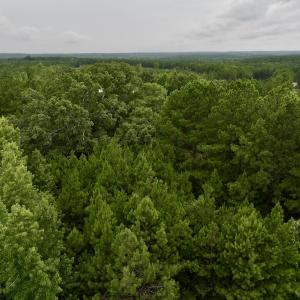 Photo #6 of SOLD property in Off 1607 SR, Warrenton, NC 5.0 acres
