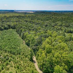 Photo #4 of SOLD property in  Off Cedar Bluff Road, Boydton, VA 105.2 acres