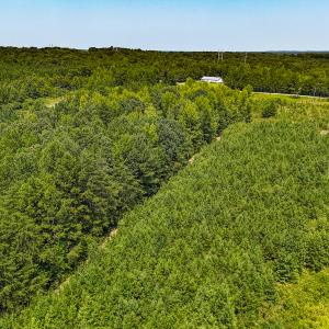 Photo #5 of SOLD property in  Off Cedar Bluff Road, Boydton, VA 105.2 acres