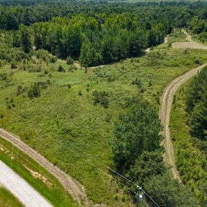 Photo #8 of SOLD property in  Off Cedar Bluff Road, Boydton, VA 105.2 acres