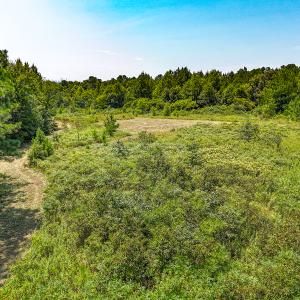 Photo #9 of SOLD property in  Off Cedar Bluff Road, Boydton, VA 105.2 acres
