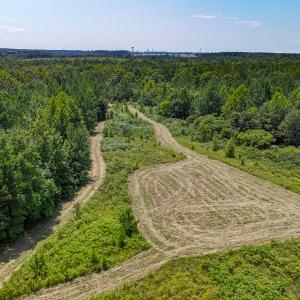 Photo #12 of SOLD property in  Off Cedar Bluff Road, Boydton, VA 105.2 acres