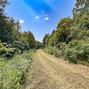 Photo #13 of SOLD property in  Off Cedar Bluff Road, Boydton, VA 105.2 acres