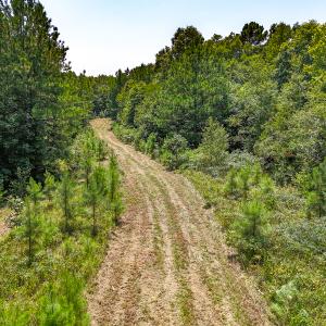 Photo #14 of SOLD property in  Off Cedar Bluff Road, Boydton, VA 105.2 acres