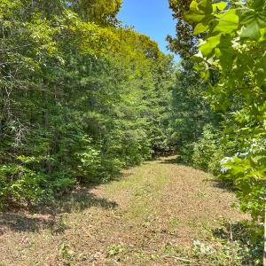Photo #15 of SOLD property in  Off Cedar Bluff Road, Boydton, VA 105.2 acres