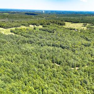 Photo #17 of SOLD property in  Off Cedar Bluff Road, Boydton, VA 105.2 acres