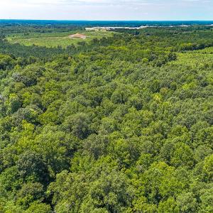 Photo #19 of SOLD property in  Off Cedar Bluff Road, Boydton, VA 105.2 acres