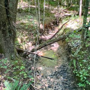 Photo #23 of SOLD property in  Off Cedar Bluff Road, Boydton, VA 105.2 acres