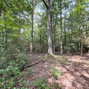 Photo #24 of SOLD property in  Off Cedar Bluff Road, Boydton, VA 105.2 acres