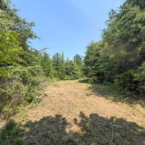 Photo #26 of SOLD property in  Off Cedar Bluff Road, Boydton, VA 105.2 acres
