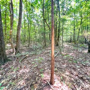 Photo #28 of SOLD property in  Off Cedar Bluff Road, Boydton, VA 105.2 acres