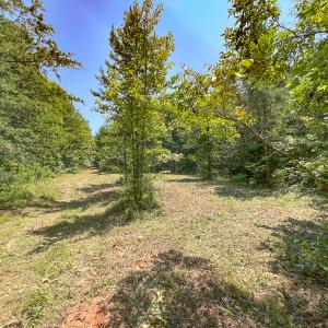Photo #29 of SOLD property in  Off Cedar Bluff Road, Boydton, VA 105.2 acres