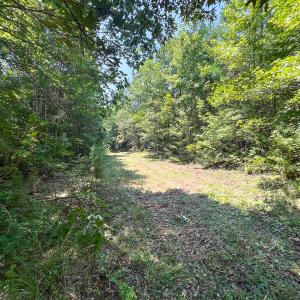 Photo #30 of SOLD property in  Off Cedar Bluff Road, Boydton, VA 105.2 acres