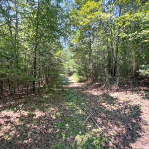 Photo #31 of SOLD property in  Off Cedar Bluff Road, Boydton, VA 105.2 acres