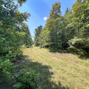 Photo #32 of SOLD property in  Off Cedar Bluff Road, Boydton, VA 105.2 acres