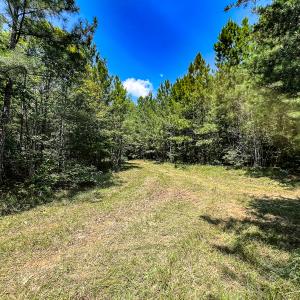 Photo #33 of SOLD property in  Off Cedar Bluff Road, Boydton, VA 105.2 acres
