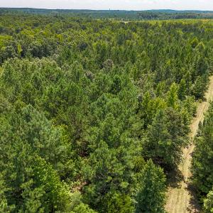 Photo #41 of SOLD property in  Off Cedar Bluff Road, Boydton, VA 105.2 acres