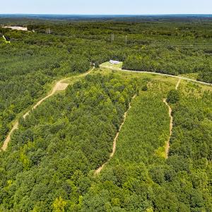 Photo #43 of SOLD property in  Off Cedar Bluff Road, Boydton, VA 105.2 acres