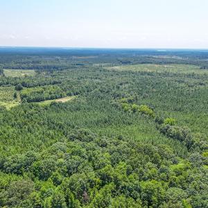 Photo #44 of SOLD property in  Off Cedar Bluff Road, Boydton, VA 105.2 acres