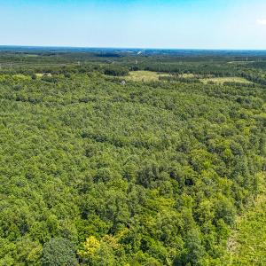 Photo #45 of SOLD property in  Off Cedar Bluff Road, Boydton, VA 105.2 acres