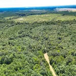 Photo #46 of SOLD property in  Off Cedar Bluff Road, Boydton, VA 105.2 acres