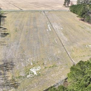 Photo #3 of SOLD property in Off Sladesville Credle Road, Scranton, NC 7.7 acres